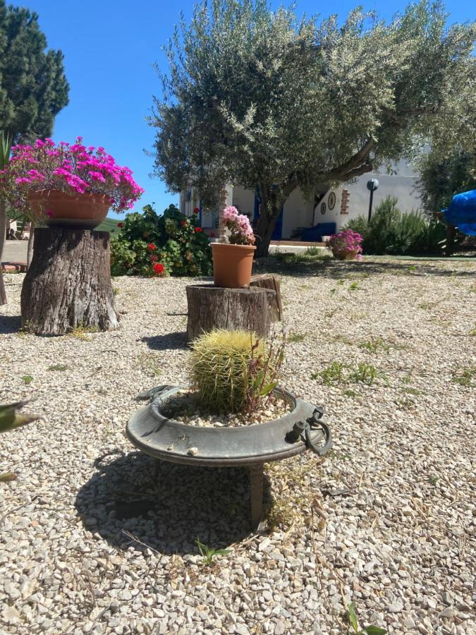 La Casa Di Gioggio Daire Ioppolo Giancaxio Dış mekan fotoğraf