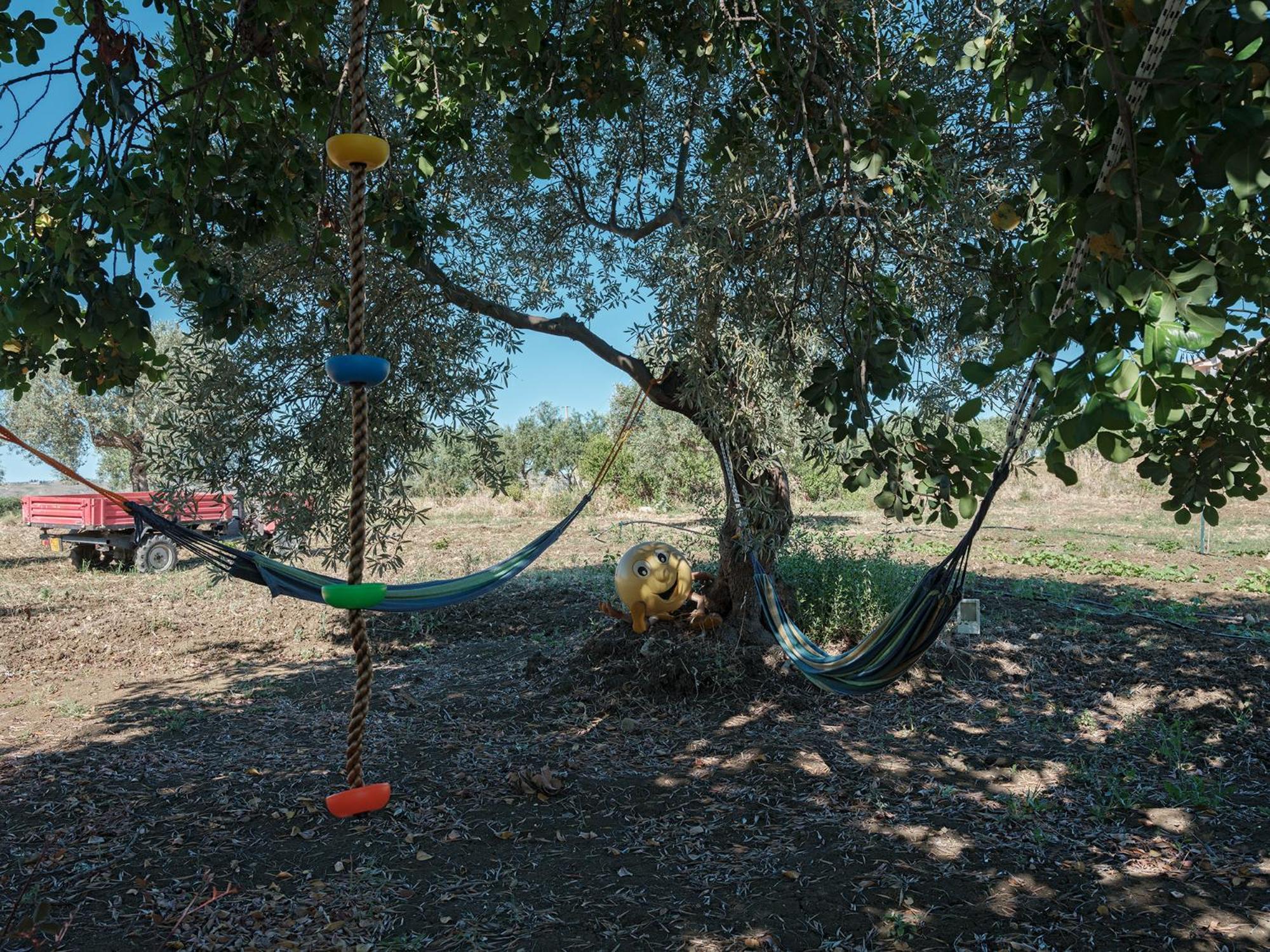 La Casa Di Gioggio Daire Ioppolo Giancaxio Dış mekan fotoğraf